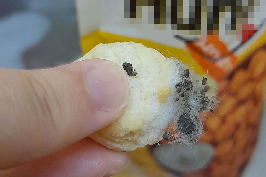 A Reddit picture post showing a piece of frozen potato popcorn contaminated with what allegedly appears to be animal droppings has emerged. PIC CREDIT TO SOCMED