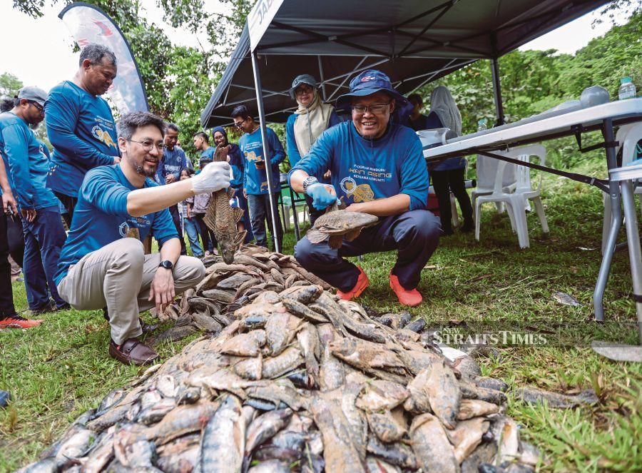 Fisheries Department director-general Datuk Adnan Hussain (right) and Aquawalk Sdn Bhd executive director Daryl Foong with a pile of invasive fish caught during a programme to capture and dispose invasive fish at Sungai Kuyoh in Bukit Jalil yesterday. NSTP/Aswadi Alias.