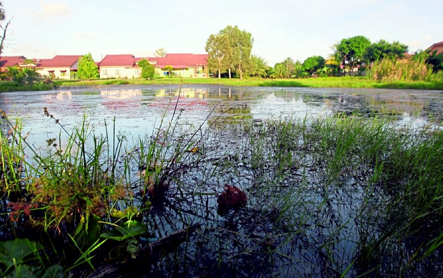 The polluted lake at Taman Indera Sempurna Fasa 3A in Kuantan. PIC BY MUHD ASYRAF SAWAL