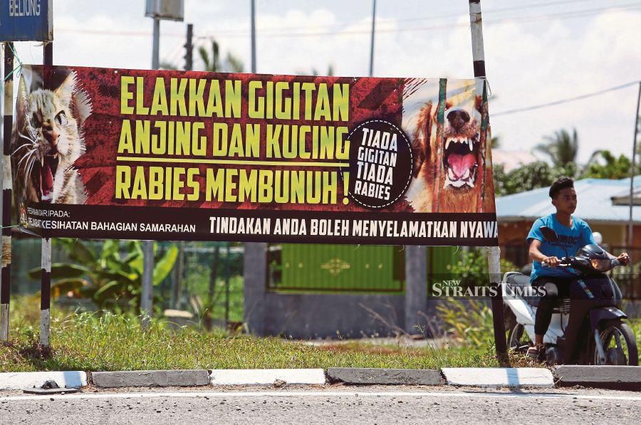 A file pic dated March 31, 2021, shows a banner placed by Sarawak Health Department in Kampung Pinang, Kota Samarahan, to alert the public on the danger of rabies. - NSTP file pic