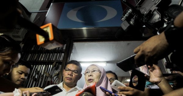 Members Agree To Nomination Fee To Contest In Pkr Elections Wan Azizah