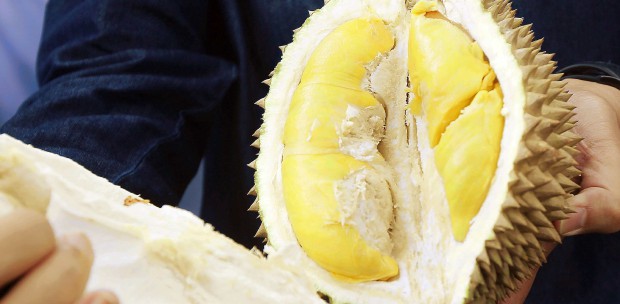 7700 Youtube Hantu Durian Gratis Terbaik