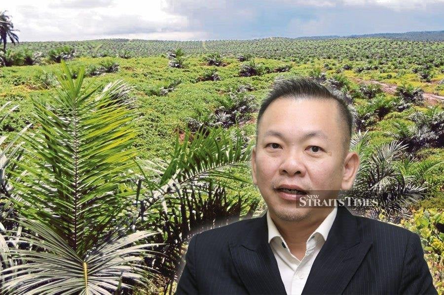 Deputy Plantation and Commodities Minister Datuk Chan Foong Hin said he has been informed that Mealybug, which is a type of fungus carrying sooty mold disease, is spreading widely in oil palm plantations in Sabah, especially in Tawau and Lahad Datu. NSTP FILE PIC