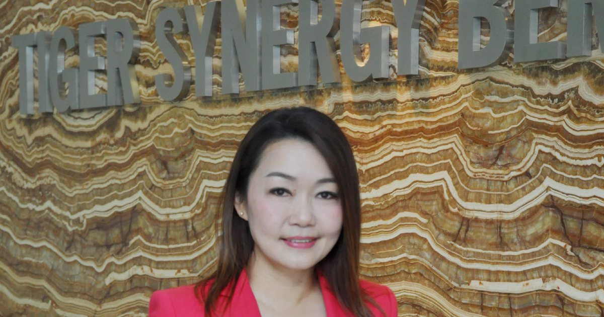 Property Developer Tiger Synergy To Launch 9 Projects With A Gdv Of Rm2bil