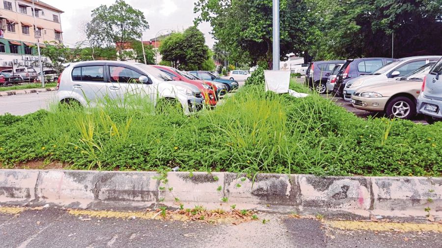 Unkempt Area At Lrt Station