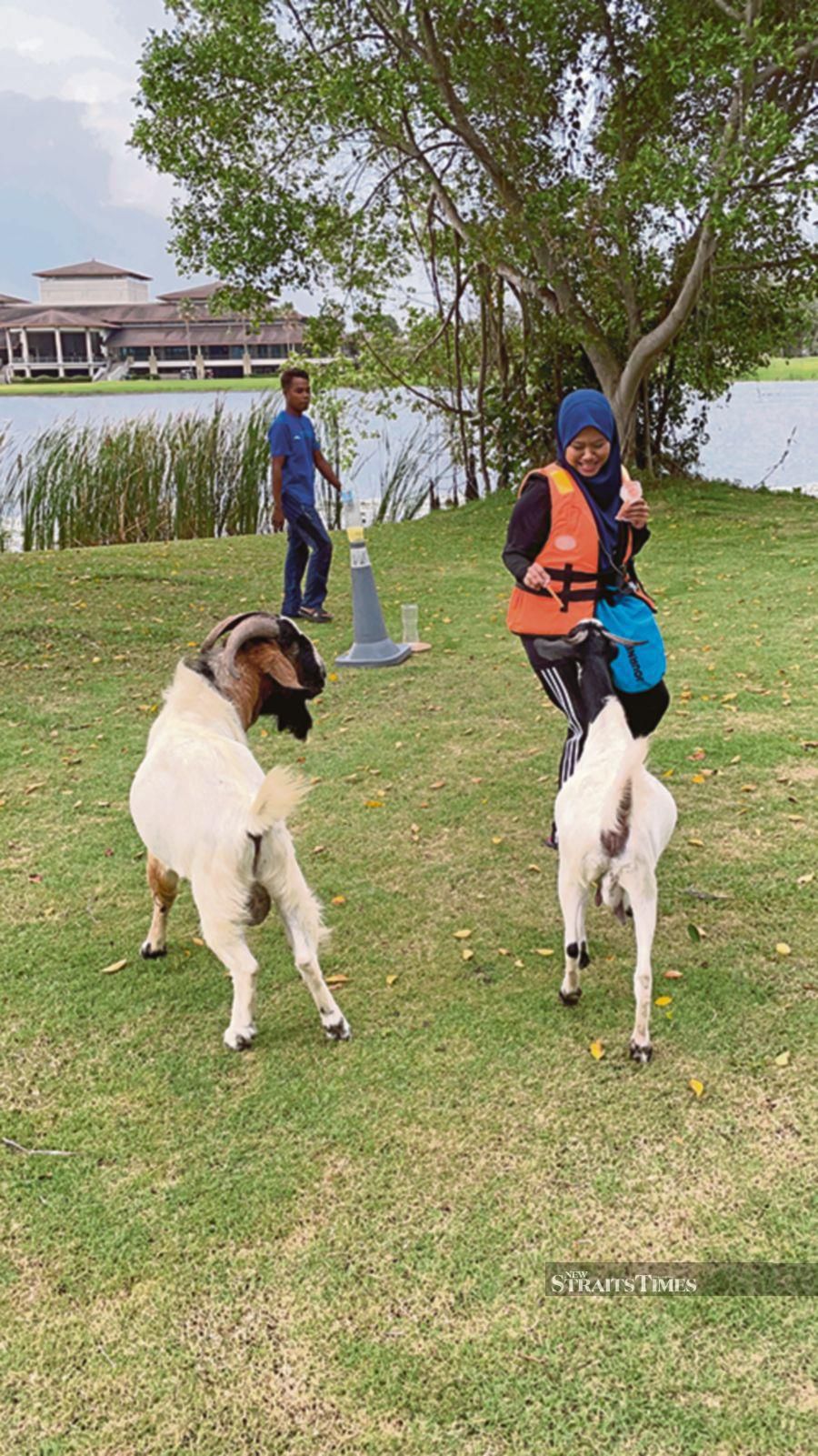 Enjoy feeding goats and other animals at the Animal Farm.