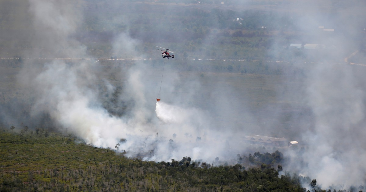 Indonesia says monsoon rains will help end forest fires soon | New ...