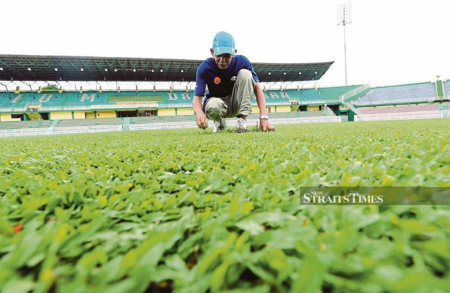Darulaman Stadium groundsman Mustafa Ismail painstakingly pulls out the weed to ensure an immaculate pitch. -NSTP/Amran Hamid