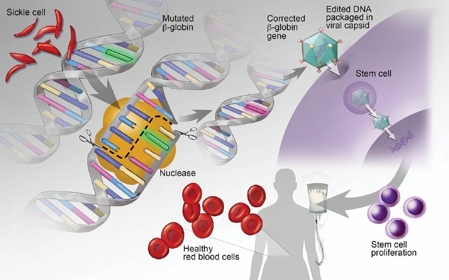 Apa itu genome modification