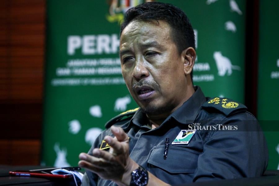 Perhilitan director-general Datuk Abdul Kadir Abu Hashim said the raid was carried out at about 3pm yesterday with the assistance of a 10-man police team. - NSTP file pic