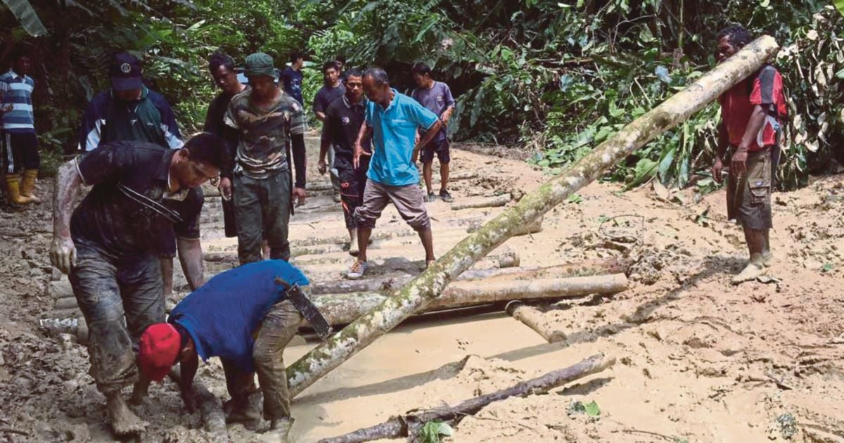 Pos Betau to Pos Lenjang road to be upgraded | New Straits Times