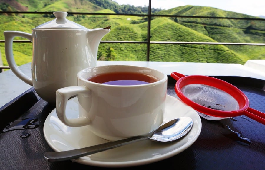 Many tea plantations will offer visitors the chance to sample their teas. - File pic credit (Frommer’s)