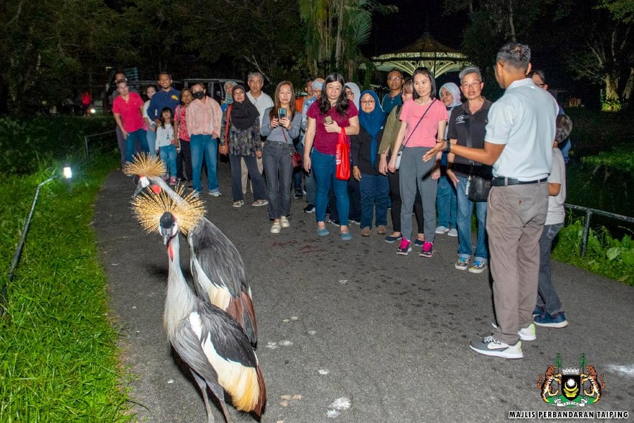 File pic credit (Zoo Taiping & Night Safari Facebook)
