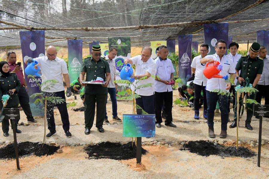 Wan Rosdy (third from left) along with Pahang Youth and Sports Exco Fadzli Mohamad Kamal (left), and Ahmad Najmi (right), watering Albizia forest tree seedlings at the project’s launch. - File pic credit (UMNO Online)