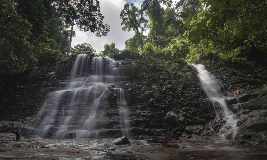Kubah National Park has six jungle trails, including a path that leads to the summit of Gunung Serapi. - File pic credit (Sarawak Tourism Board)