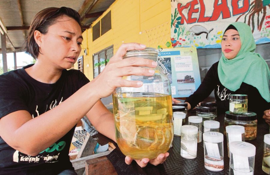 Dr Serina Rahman (left) holding a jar containing a marine sample, at Kelab Alami in Tanjung Kupang. PIX BY ZAIN AHMED