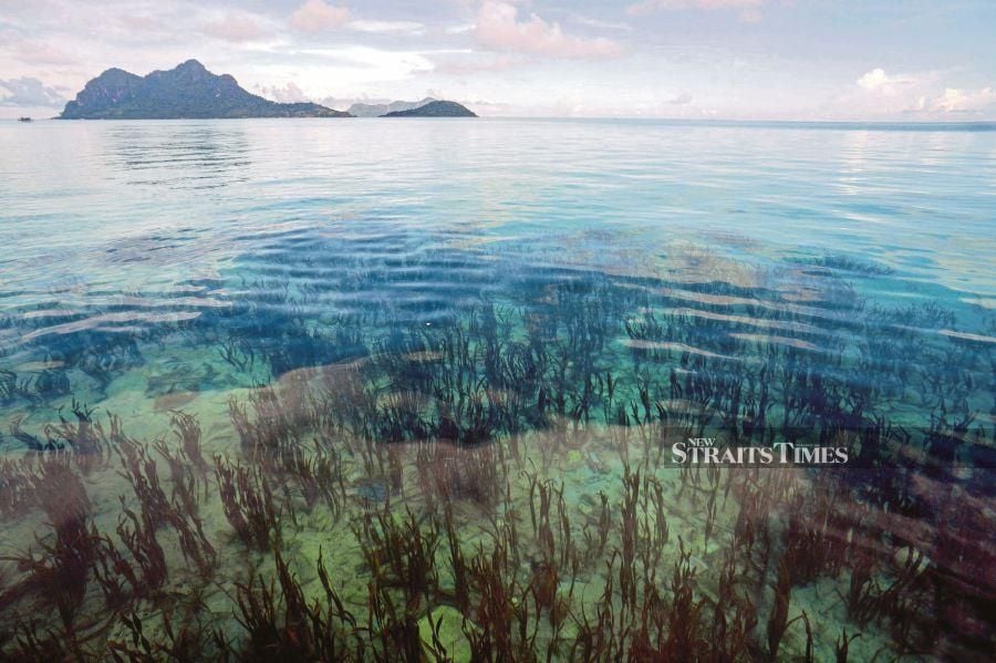 Semporna Islands Project was launched in 1998 in recognition of the huge value of the coral reefs and islands in Semporna. - NSTP file pic