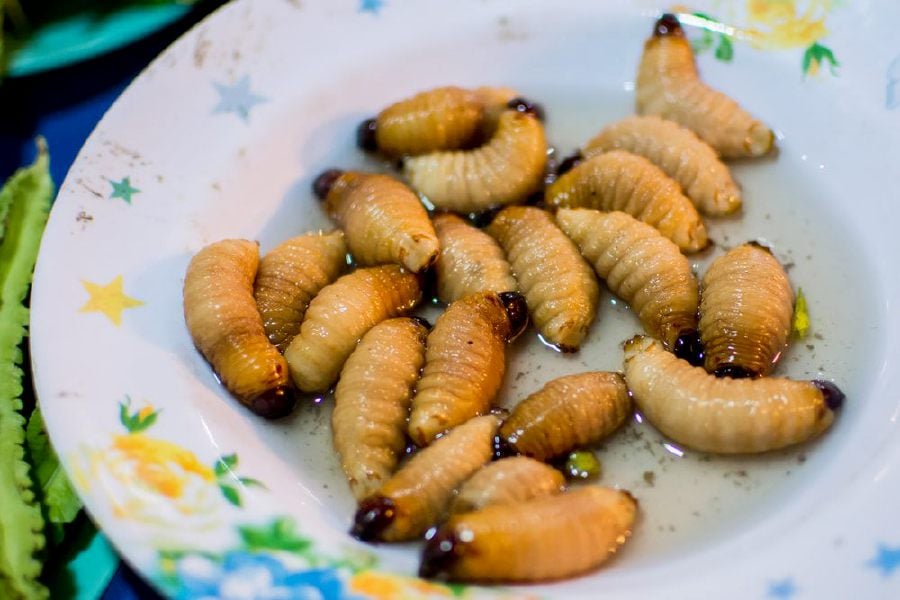 A serving of cooked sago grubs. - File pic credit (Amazing Kundasang Facebook)