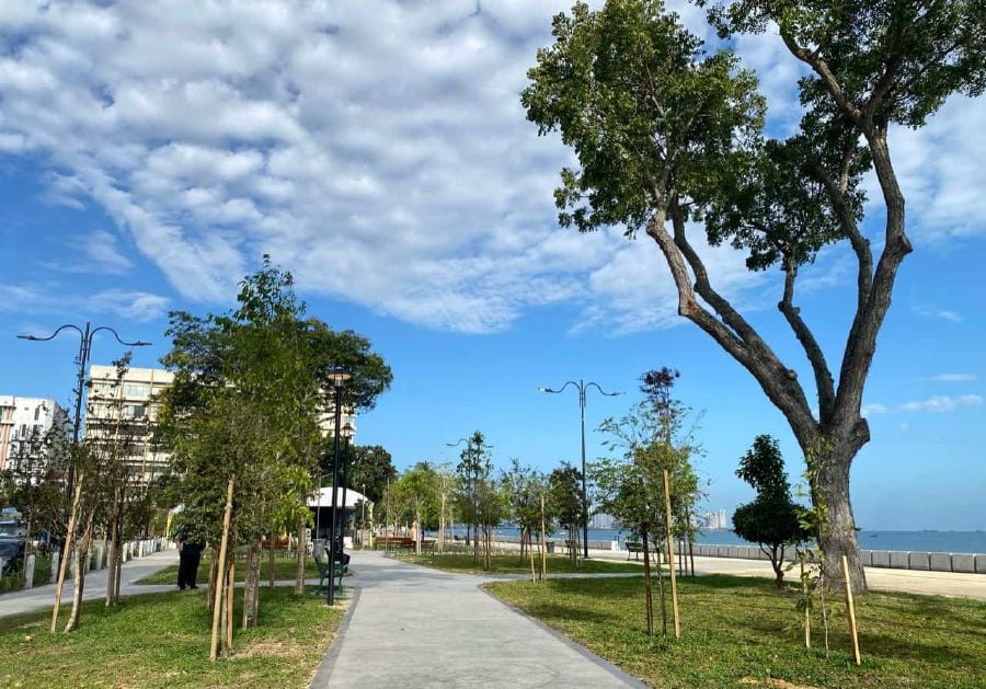 Residents and visitors alike can now enjoy the Linear Garden's tranquil setting, which promises to be a space for leisure, recreation, and appreciation of Penang's culture. - File pic credit (Buletin Mutiara)