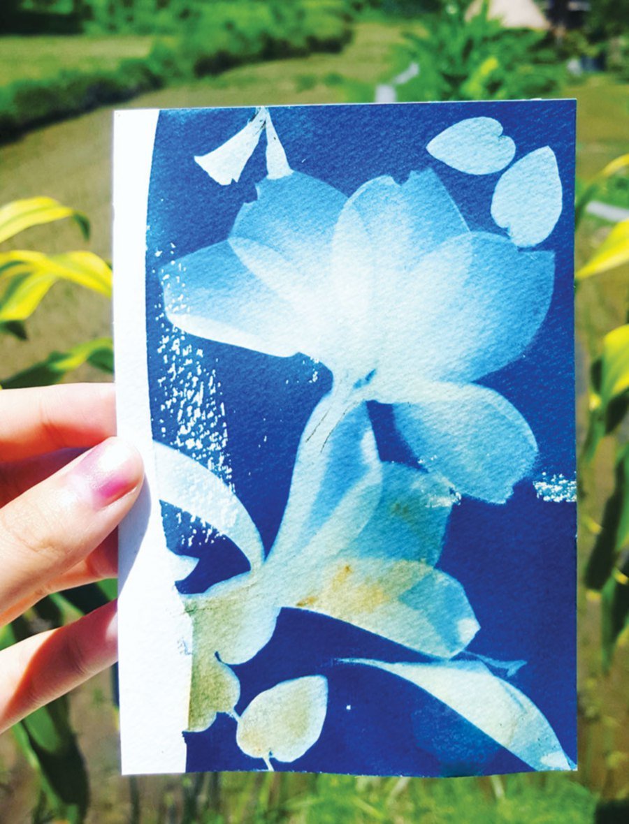 Cyanotype Paper A6 Size Sunlight Sensitive Printing Art Paper For Diy Blue  Dye Plant Tie-dye Handcraft