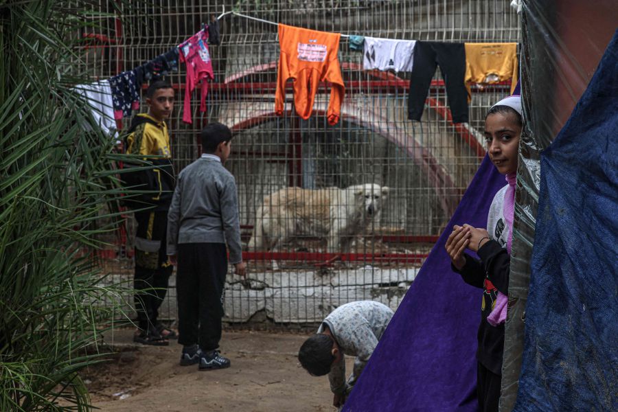 A displaced Palestinian family takes shelter near an animal cage at the zoo in Rafah in the southern Gaza Strip, on January 2, 2024. - AFP pic