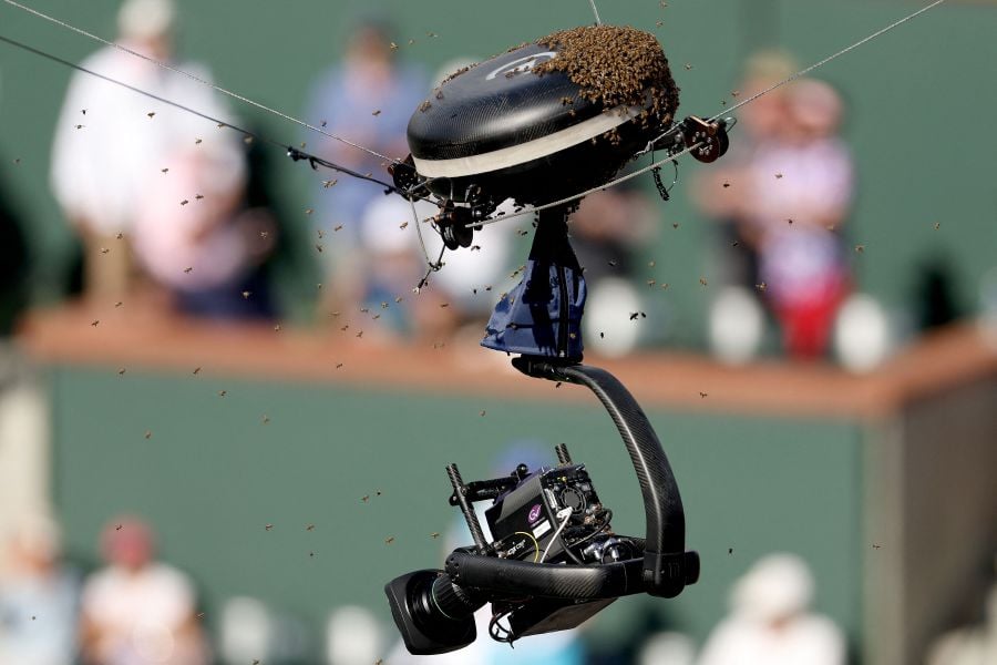 An invasion of bees suspends play between Carlos Alcaraz of Spain and Alexander Zverev of Germany during the BNP Paribas Open on March 14, 2024 in Indian Wells, California. - AFP pic