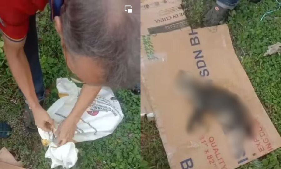 Police have arrested a man to assist investigations into a case involving the dumping of a gunny sack with a cat inside into a river in Penang. FACEBOOK/MALAYSIAN ANIMAL ASSOCIATION