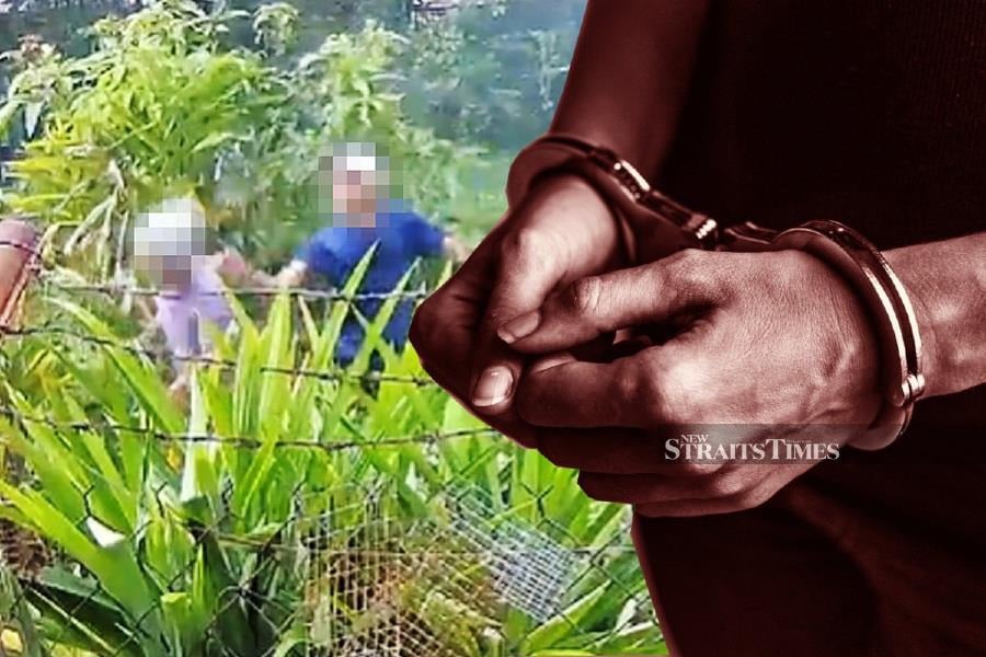 A 26-year-old glamping site operator who allegedly assaulted an elderly neighbour in Tanjung Kling has been detained by the police. - NSTP file pic