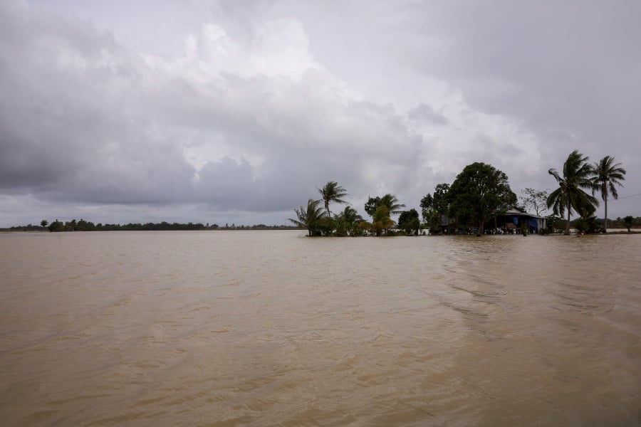 A flooded rice paddy in Kampung Kurnia, Rompin.- - BERNAMA pic