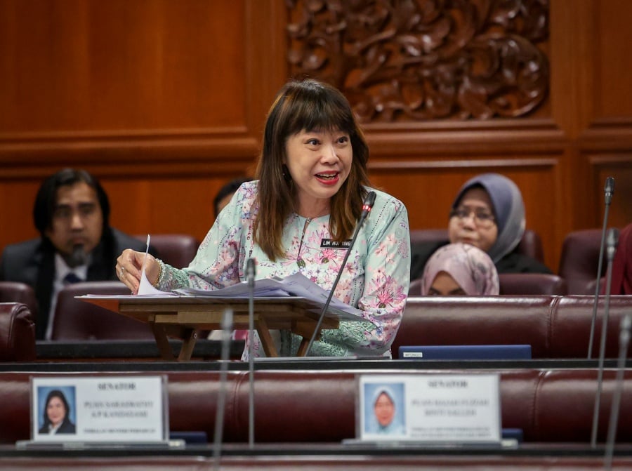 Deputy Finance Minister Lim Hui Ying said the government will also monitor the implementation of taxes in the country from time to time to ensure it can be carried out effectively.- BERNAMA pic