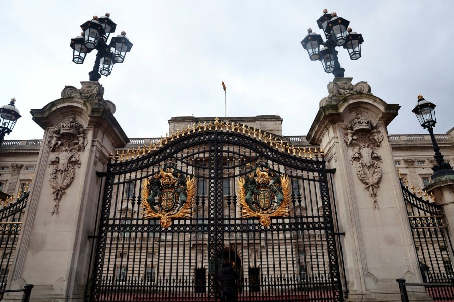 Officers arrested a man who crashed a car into the gates of London's Buckingham Palace over the weekend, police said on Sunday. REUTERS FILE PIC
