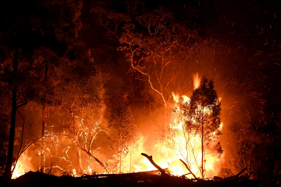 Massive bushfires rage across Australia's east coast New