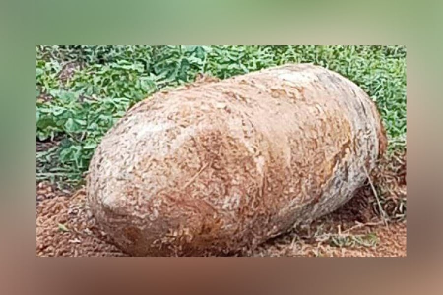 The Tampin District Police Headquarters (IPD) Operations Room received information from the public regarding the discovery of an object resembling an old bomb in Ladang Jelai, Gemas, yesterday evening. - P{ic courtesy from reader