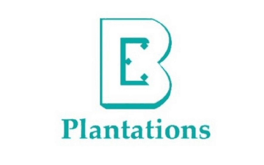 Boustead Plantations Reinforces Reinventing Strategy With New Board Members