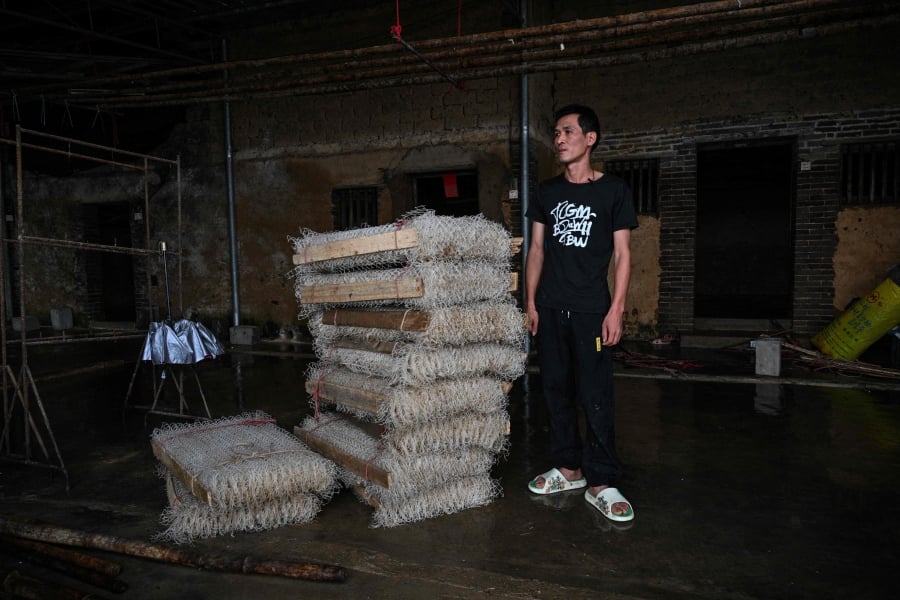 Zhu Huangyi, a local producer of silkworm who lost two thirds of production due to flooding, stands in a store in Sancuncun village, Yingde in China's Guangdong province. (Photo by Hector RETAMAL / AFP)