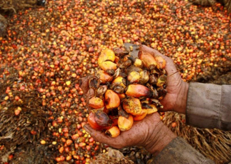 The concept of a smart palm oil factory should be the direction of the oil palm industry as it is able to give a new dimension to the aspect of efficiency, the Ministry of Plantation Industries and Commodities urged.