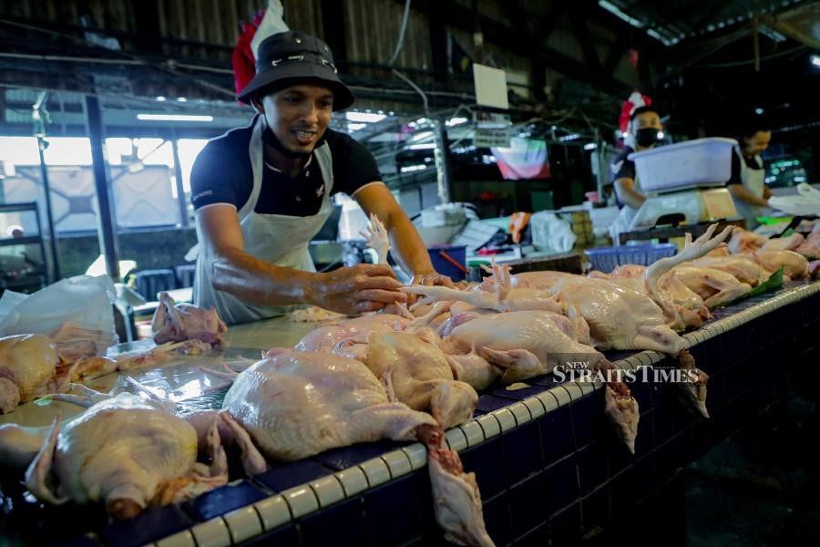 Chicken shortage in Selangor due to high demand, says exco New