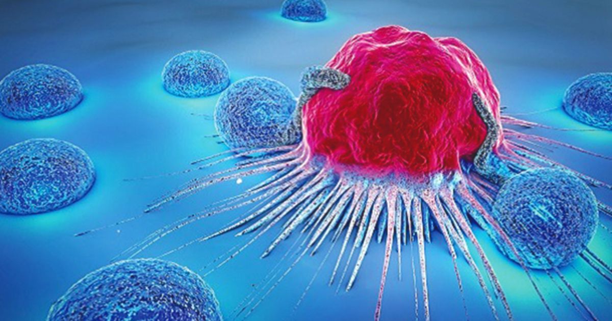 Aiming for a cancer-free world with innovative technologies | New ...