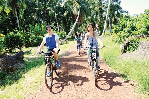 Visit farms in Muar, Johor on bicycles.