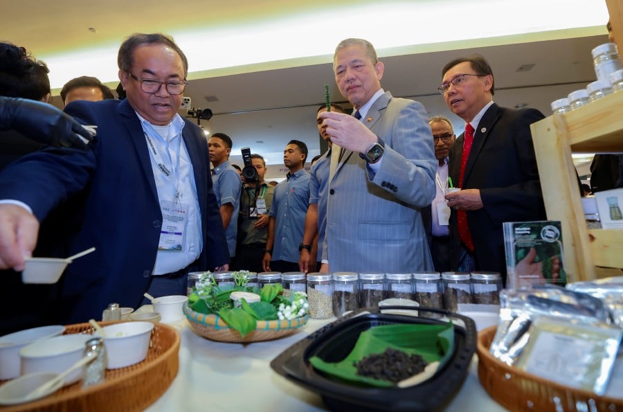 Deputy Prime Minister Datuk Seri Fadillah Yusof said the imbalance between supply and demand has been among the challenges faced by the global pepper industry. BERNAMA PIC
