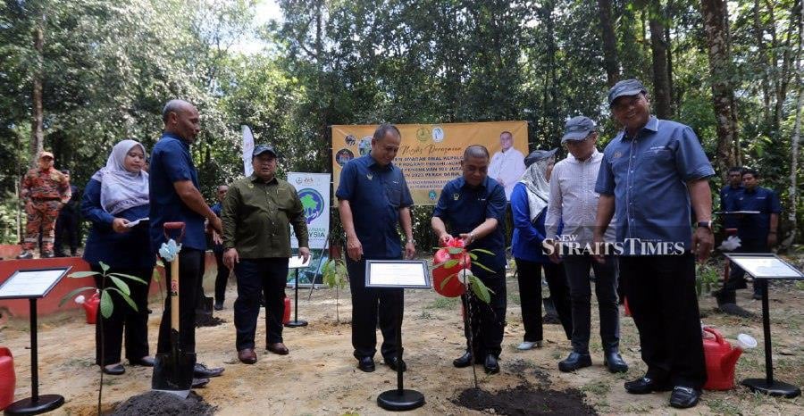 Sultan Nazrin briefed on forest plantation project, says Perak MB | New ...