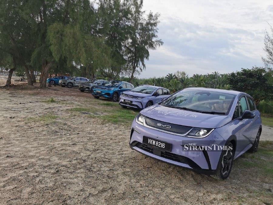 Test drive: BYD Dolphin makes a splash | New Straits Times | Malaysia ...