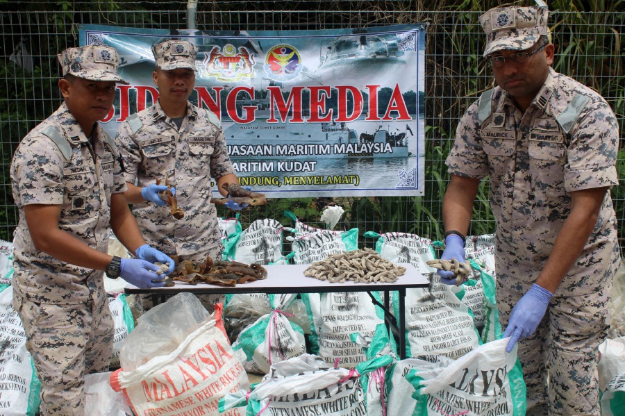 The Malaysian Maritime Enforcement Agency (MMEA) yesterday thwarted an attempt to smuggle out 51 sacks of dried turtle meat. - Pic courtesy of MMEA