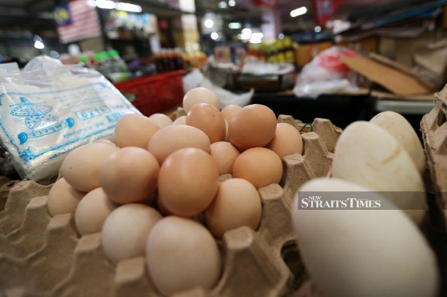 It has been suggested that the government provide cash subsidies for chicken and eggs to the B40 and M40 groups to shield them from the effects of rising prices of these two essential commodities. - NSTP/NIK ABDULLAH NIK OMAR