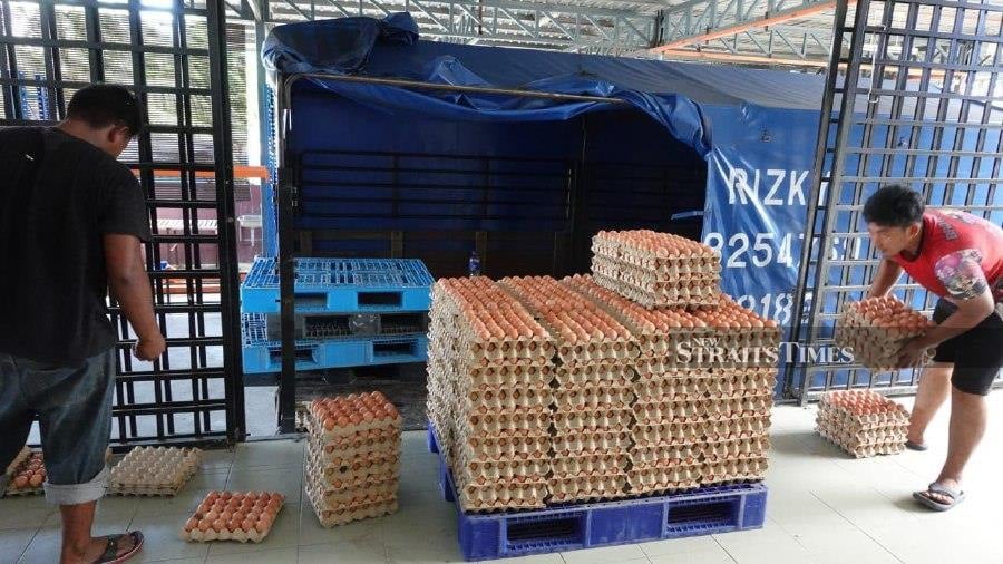 The average prices for all Grade A-C eggs in October were above the retail price controls for eggs in Malaysia.