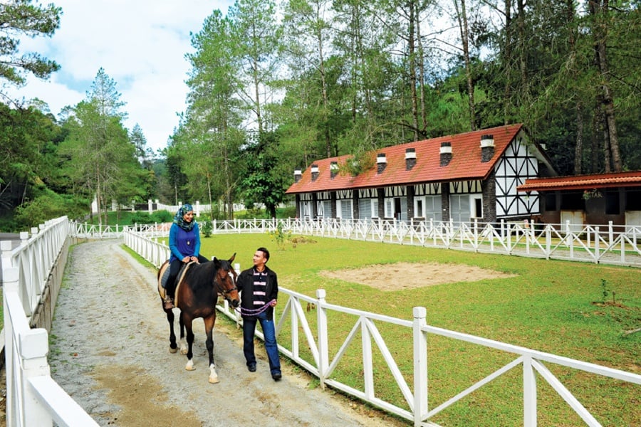 Horse riding is just one of the many activities on offer at Fraser’s Hill. - File pic credit (Tourism Pahang)