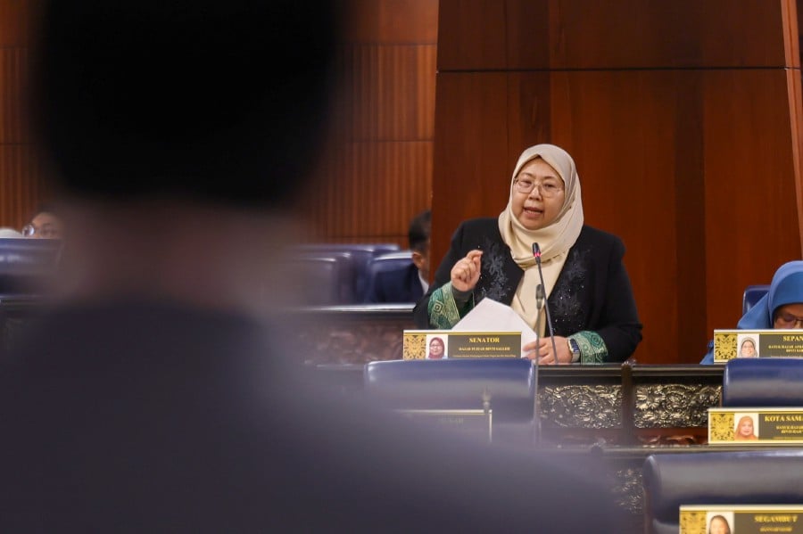 “Then they need to show their entire costs. If the cost of raw materials is high, then there is no profiteering here,” - Domestic Trade and Cost of Living deputy minister Fuziah Salleh said in the Dewan Rakyat today. - Bernama pic