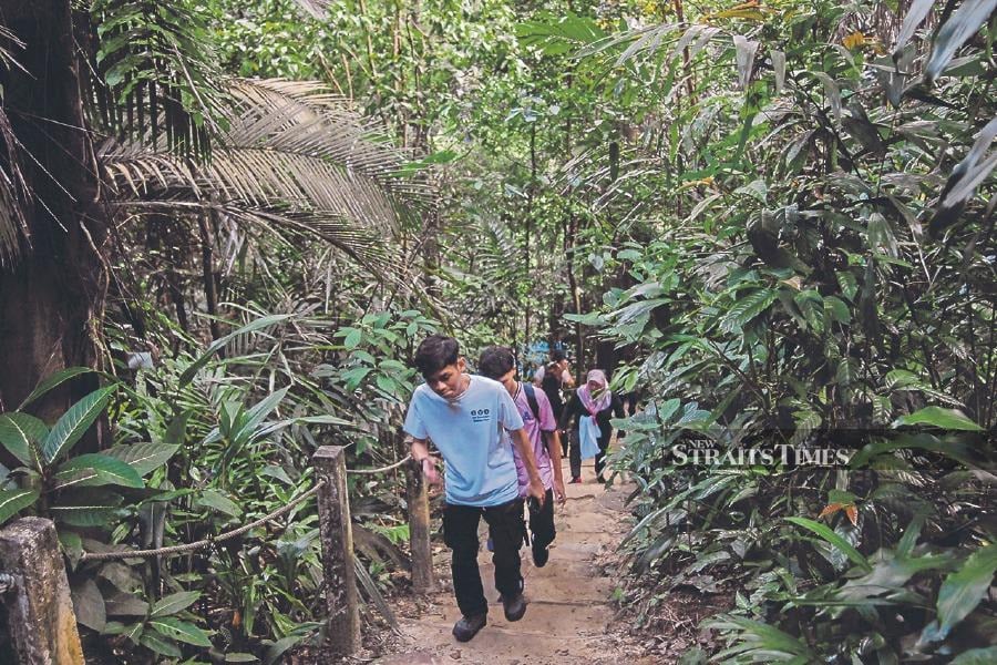 Malaysia’s flora and fauna, attractive landscapes and rainforests can pique the interest of local and foreign visitors. -NSTP/ AIZUDDIN SAAD