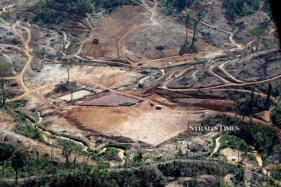 Progress through development projects over the years has brought with it the destruction of forests and the natural environment. - NSTP filepic