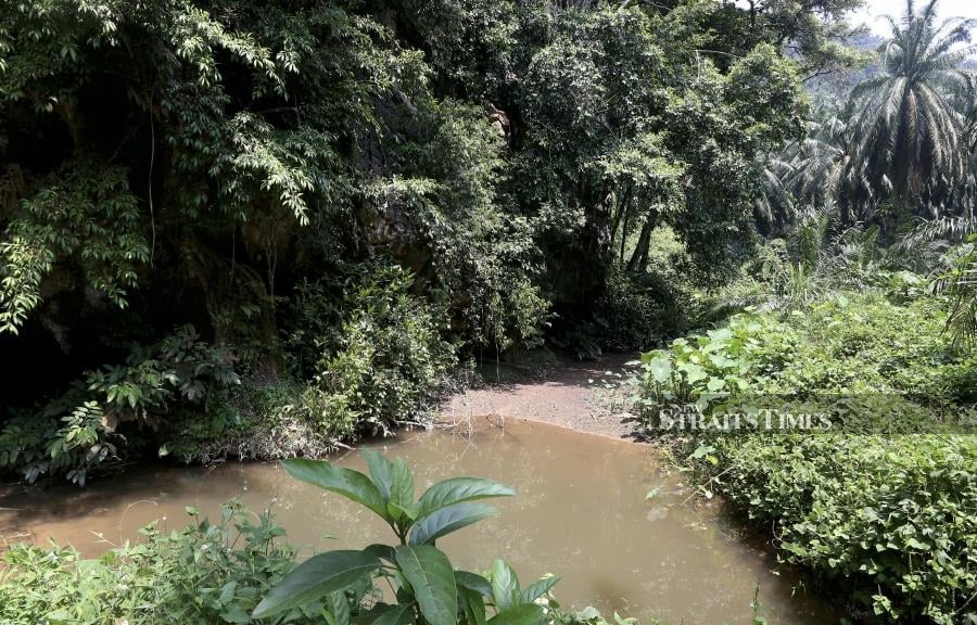 Initial pathology report on the pile of bones that were found at Gua Kandu in Gopeng here has revealed that they belonged to a human. (NSTP/EFFENDY RASHID)